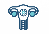Productgroep-Gynaecologie-icon1